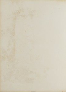 Comte Cavour