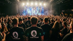 Concert Crowd