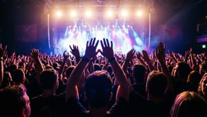 Concert Crowd Energy