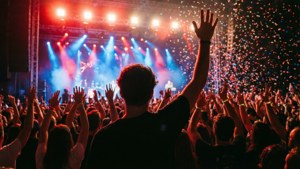 Concert Crowd Wave