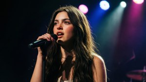 Concert Performer