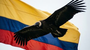 Condor and Flag