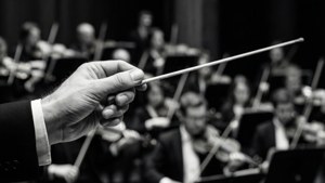 Conductor's Baton