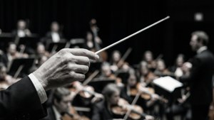 Conductor's Baton Lux