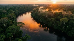 Congo River Aerial