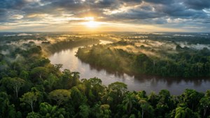 Congo River Dawn