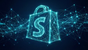 Connected Shopify Network