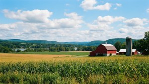 Connecticut River Valley Farm