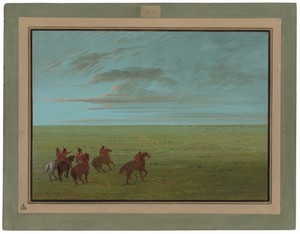 Connibos Starting for Wild Horses