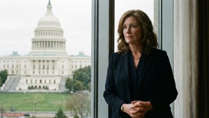 Contemplative Capitol View