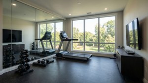 Contemporary Home Gym