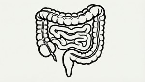 Continuous Line Intestine