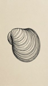 Continuous Line Mussel