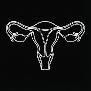 Continuous Line Uterus
