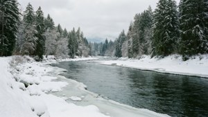 Coquitlam River Winter