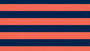 Coral Navy Stripes