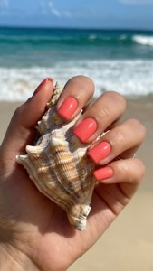 Coral Seashell Beach