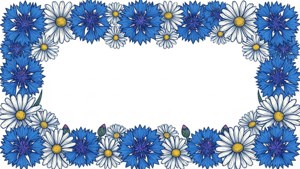 Cornflower and Daisy Frame
