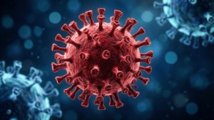 Coronavirus Microscopic Closeup
