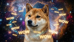 Cosmic Doge