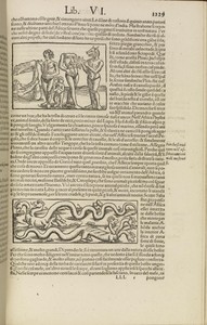 Cosmographia Universalis