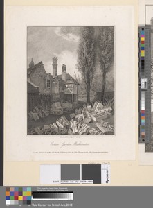 Cotton Garden, Westminster