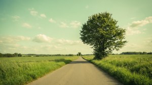 Country Road Green Sky
