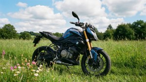 Countryside Calm G310RR