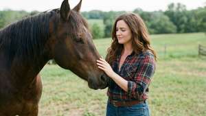 Countryside Horse Friend