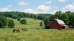 Countryside Pastoral