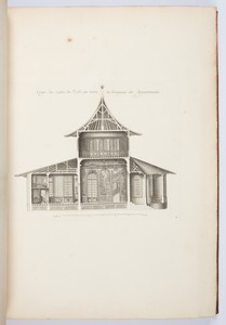 Coupe du Salon du Trefle sur toute la longeur des Appartements.