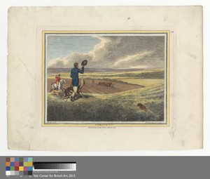 Coursing, Plate 1