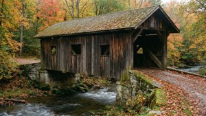 Covered Bridge Autumn