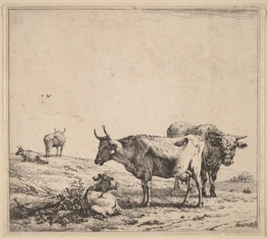 Cow, Bull and Calf