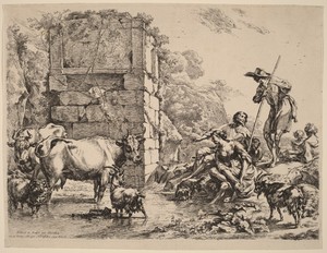 Cow Drinking