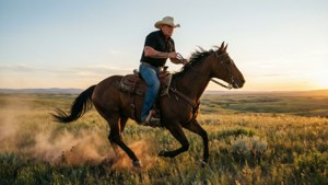 Cowboy Ride Toby