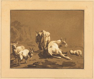 Cows