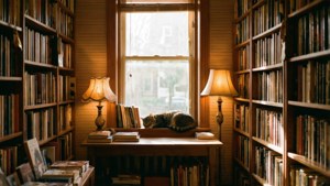 Cozy Bookstore Haven
