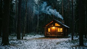 Cozy Cabin in Dark Forest