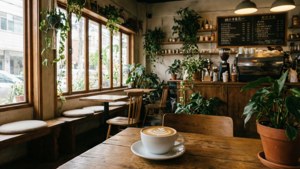 Cozy Coffee Shop