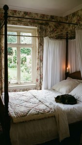 Cozy Cottage Bedroom