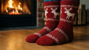 Cozy Socks