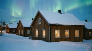 Cozy Winter Night