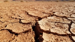 Cracked Desert Earth