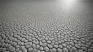 Cracked Earth