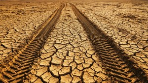 Cracked Earth Track