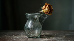 Cracked Vase Web