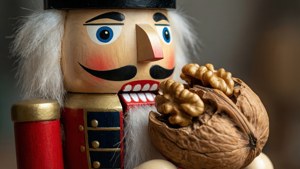 Cracking the Nut