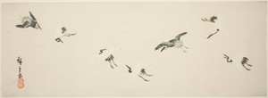 Cranes in flight