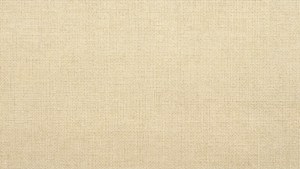 Cream Woven